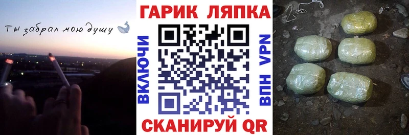 Купить  Ефремов  ГАШ Premium 
