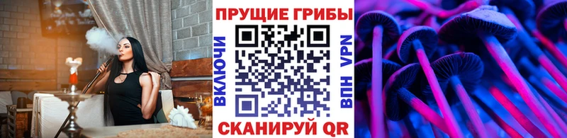 Псилоцибиновые грибы ЛСД  Купить закладки  Ефремов 