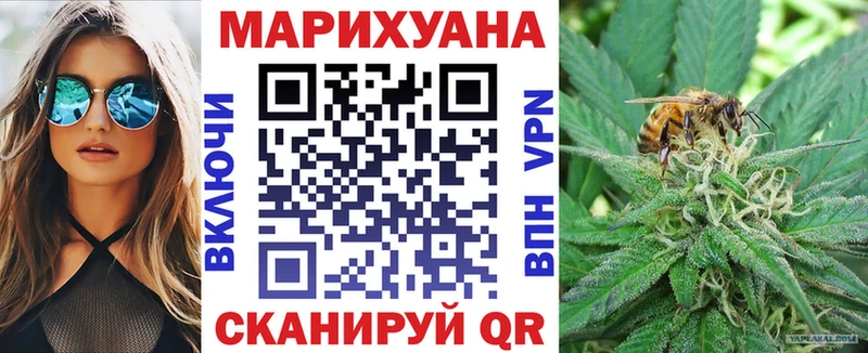 Купить где Ефремов Марихуана SATIVA & INDICA